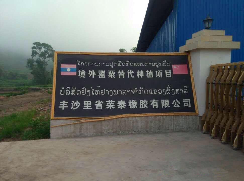 老挝荣泰橡胶